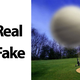 Illustration for article titled I Cant Believe These Photos Are Not Fakes
